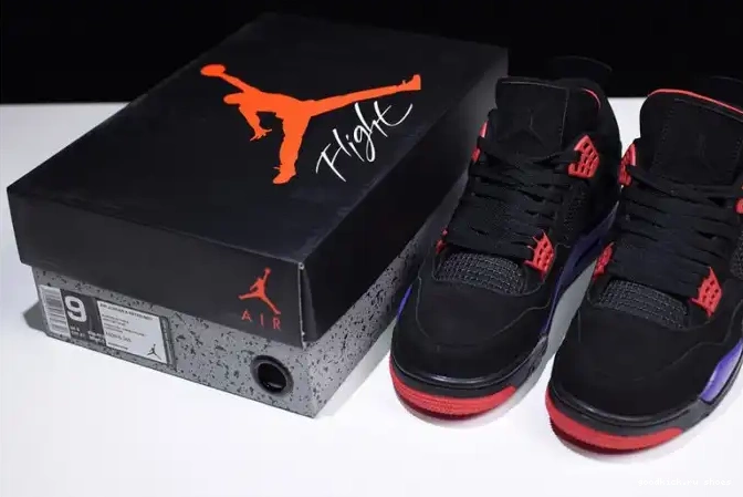 Rep Raptors